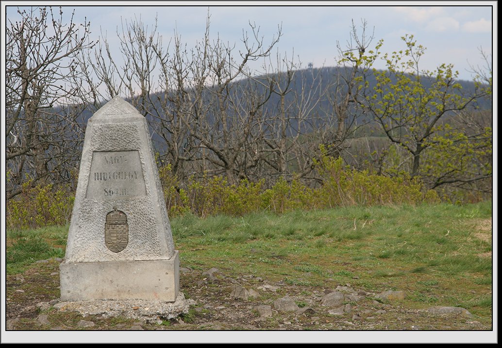 Fot. B. Bubula