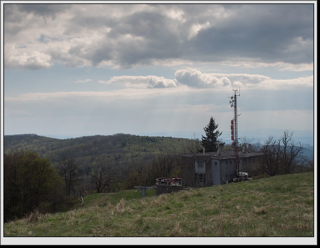 Fot. D. Ociepka