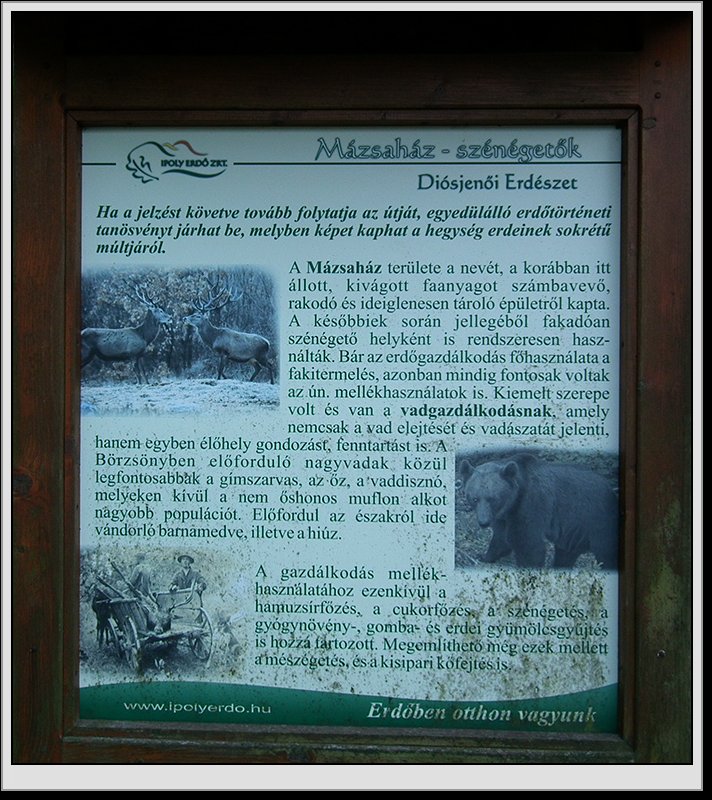 Fot. R. Zieliński