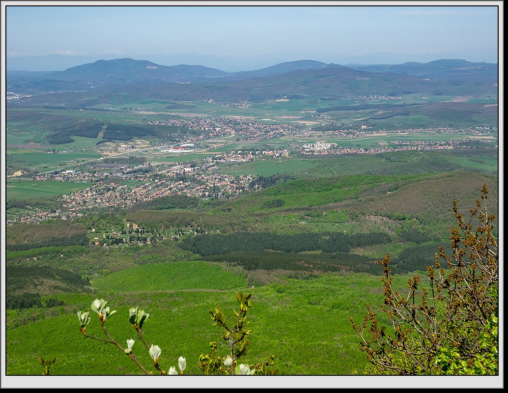 Fot. D. Ociepka