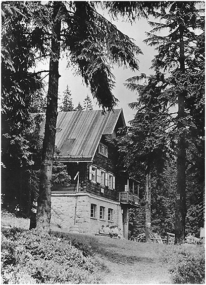 Lipowska