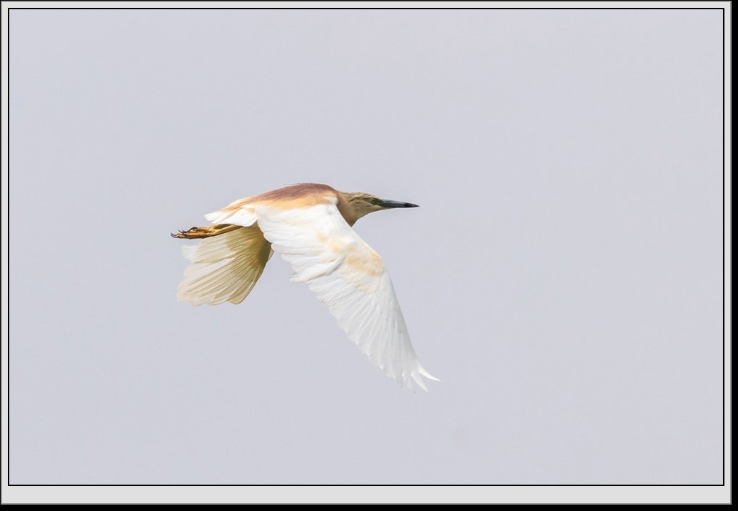 Fot. D. Ociepka